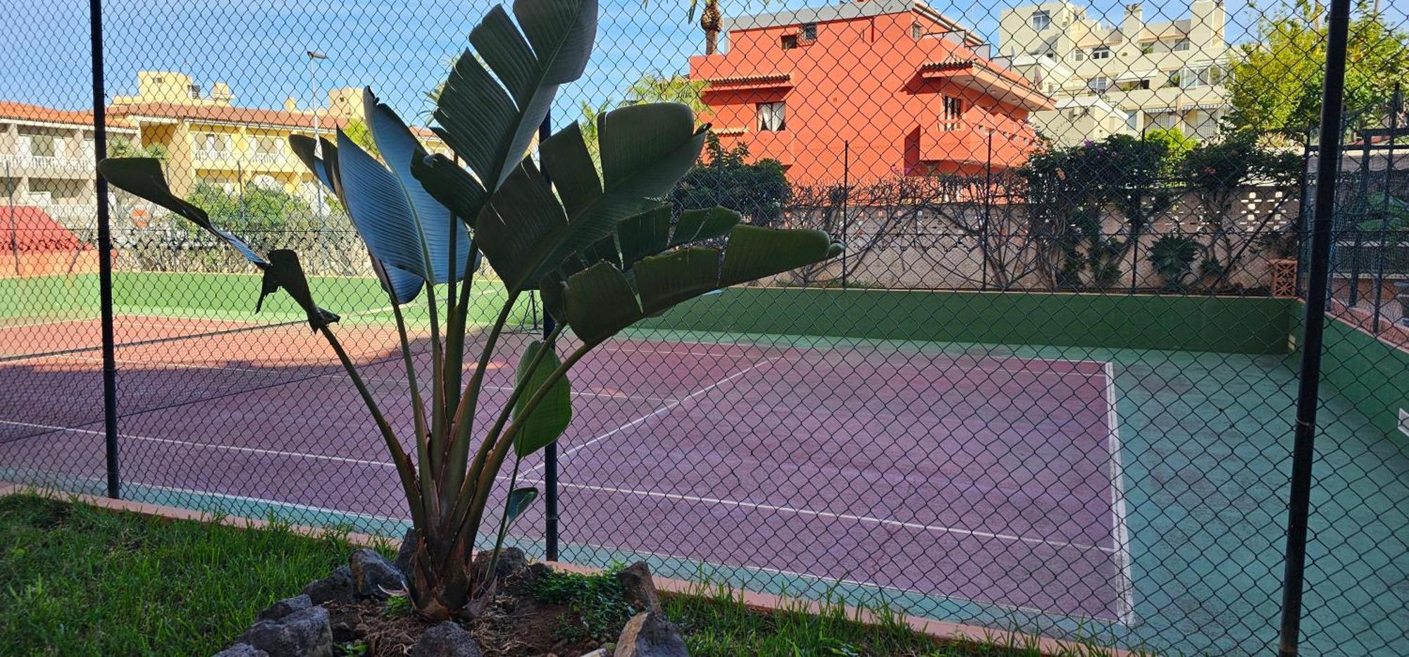 Estudio Tranquilo Cerca Del Mar. Puerto de la Cruz  Exteriér fotografie